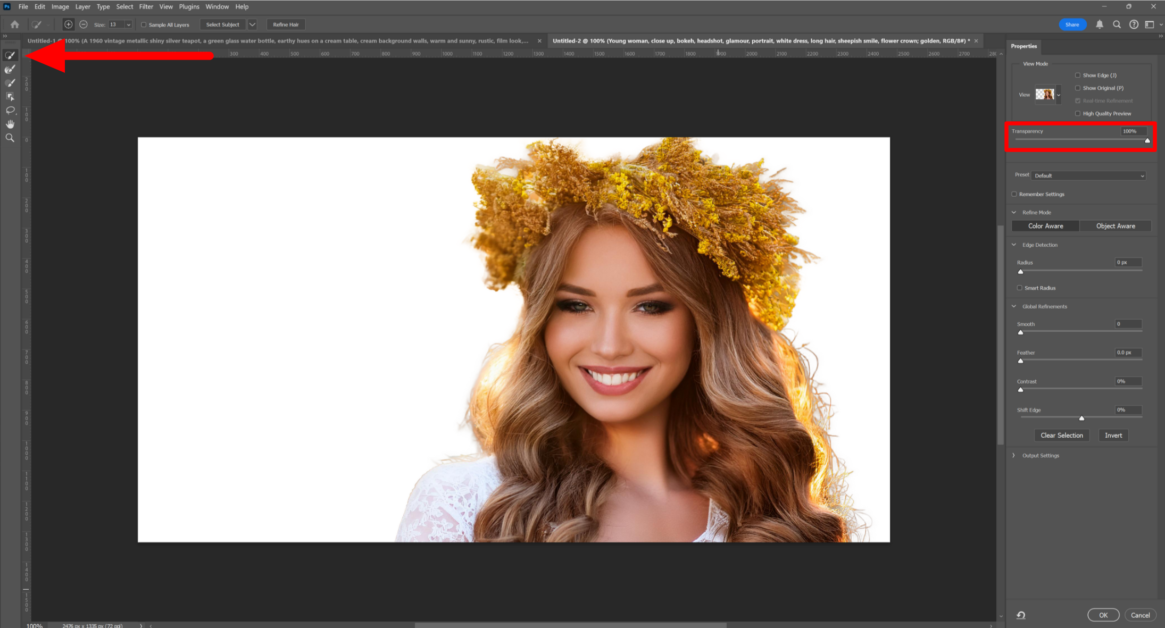 Using the Refine Brush and adjusting the Transparency when selecting hair in Photoshop.