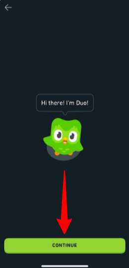 Hitting Continue to get started with Duolingo