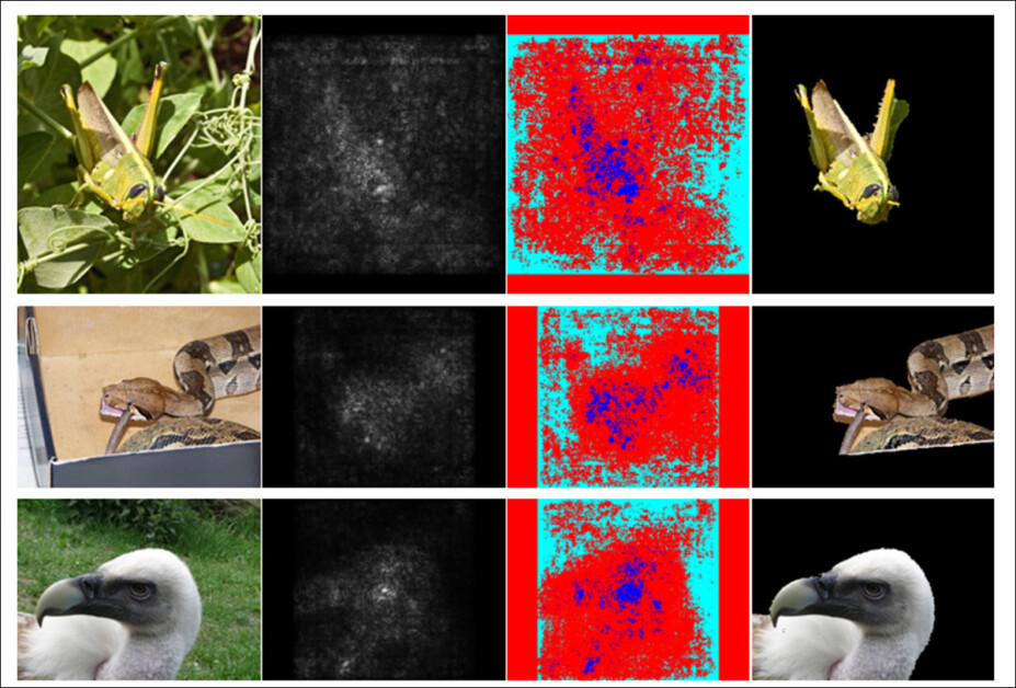 Object segmentation (semantic segmentation) can be an aide in individuating facets of an image, and developing corresponding saliency maps. Source: https://arxiv.org/pdf/1312.6034