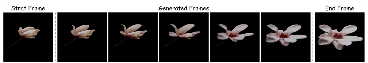 Interstitial frames generated for a time-lapse simulation in Framer. Source: https://arxiv.org/pdf/2410.18978