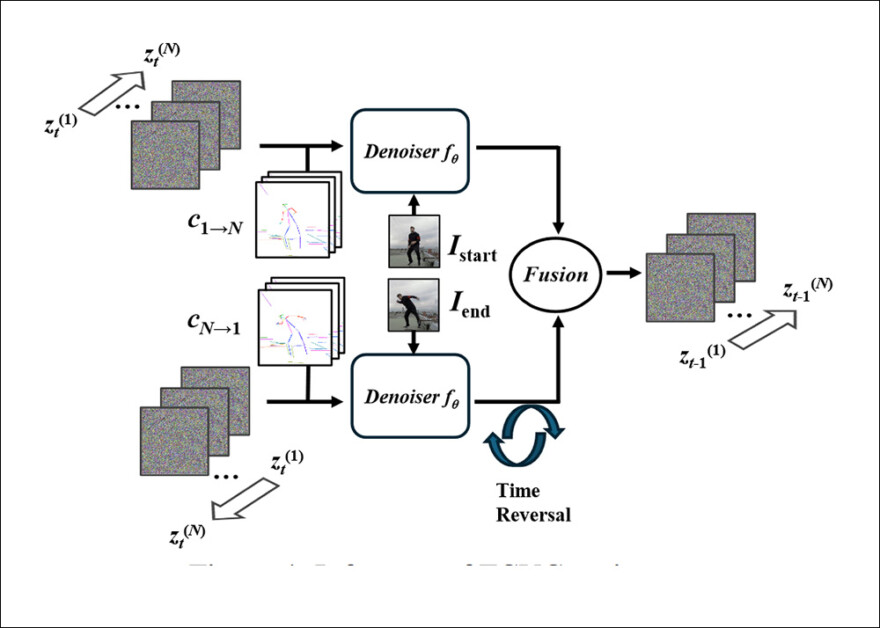 Schema for inference of FCVG.