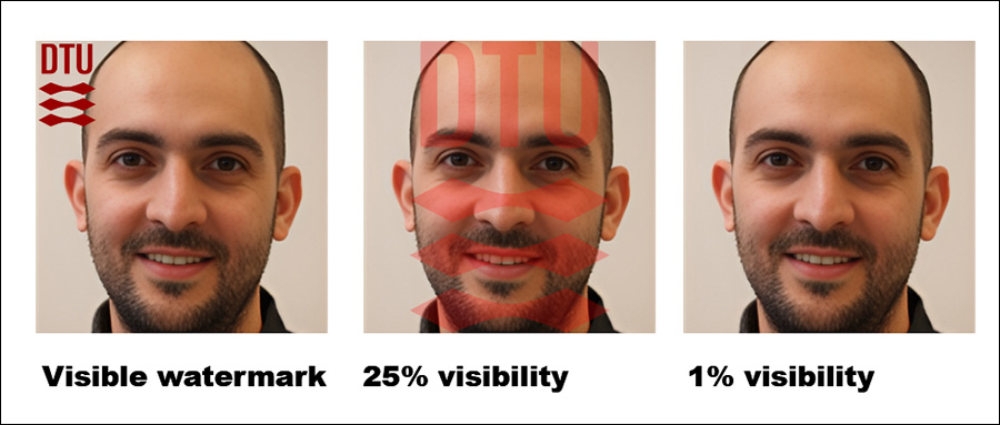 The right-most figure shows the actual 'hidden' watermark used in the tests.